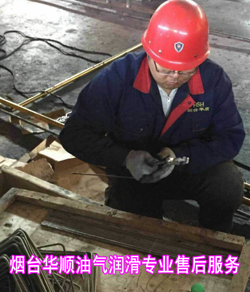 華順油氣潤(rùn)滑系統(tǒng)